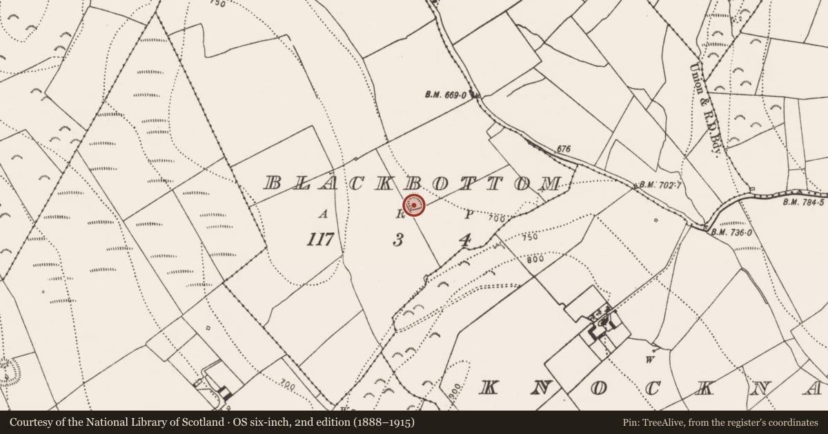 Ordnance Survey six-inch map, 2nd edition (1888–1915) covering the location of Ringfort - rath, Blackbottom, County Kilkenny, with a pin at the register's coordinates