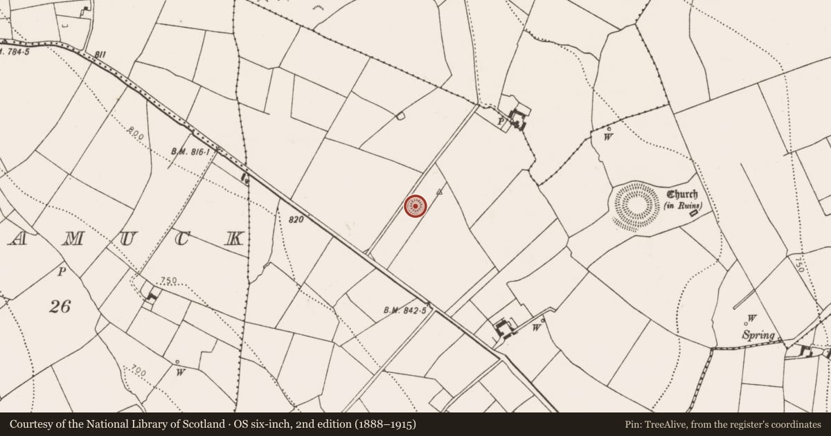 Ordnance Survey six-inch map, 2nd edition (1888–1915) covering the location of Barrow - ring-barrow, Rathealy, County Kilkenny, with a pin at the register's coordinates