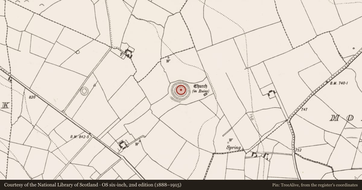Ordnance Survey six-inch map, 2nd edition (1888–1915) covering the location of Castle - ringwork, Rathealy, County Kilkenny, with a pin at the register's coordinates