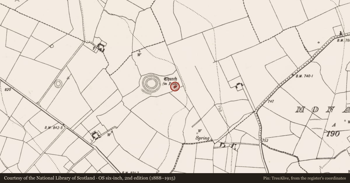 Ordnance Survey six-inch map, 2nd edition (1888–1915) covering the location of Church, Rathealy, County Kilkenny, with a pin at the register's coordinates