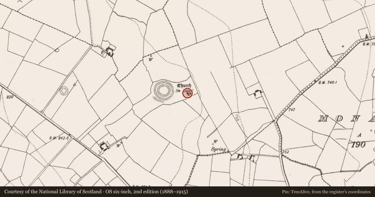 Ordnance Survey six-inch map, 2nd edition (1888–1915) covering the location of Graveyard, Rathealy, County Kilkenny, with a pin at the register's coordinates