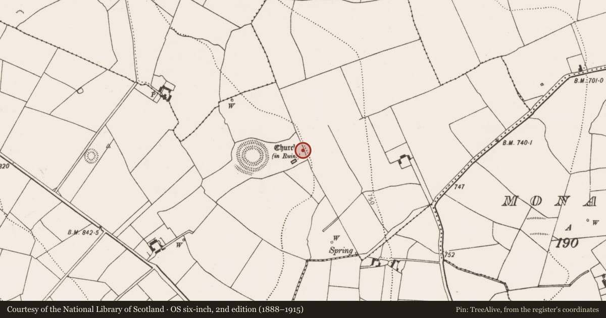 Ordnance Survey six-inch map, 2nd edition (1888–1915) covering the location of Settlement deserted - medieval, Rathealy, County Kilkenny, with a pin at the register's coordinates