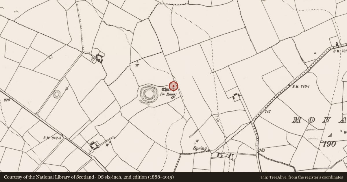Ordnance Survey six-inch map, 2nd edition (1888–1915) covering the location of Road - hollow-way, Rathealy, County Kilkenny, with a pin at the register's coordinates