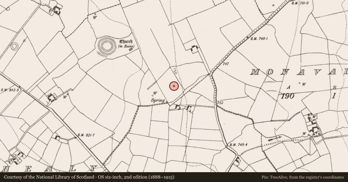 Ordnance Survey six-inch map, 2nd edition (1888–1915) covering the location of Standing stone, Rathealy, County Kilkenny, with a pin at the register's coordinates