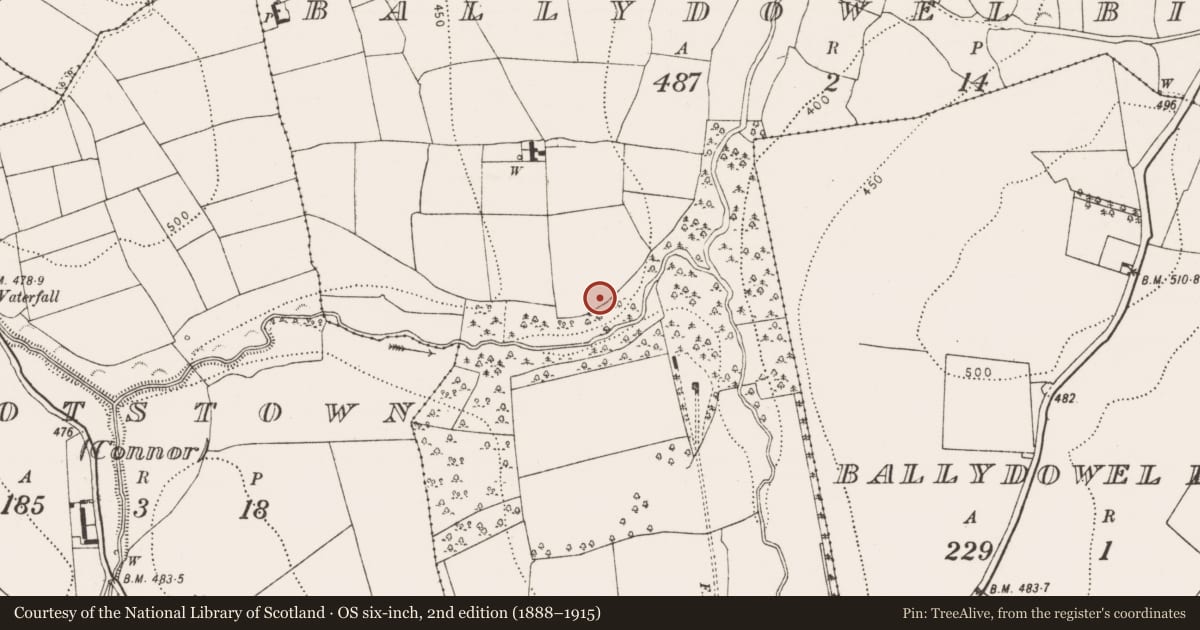 Ordnance Survey six-inch map, 2nd edition (1888–1915) covering the location of Enclosure, Ballydowel Big, County Kilkenny, with a pin at the register's coordinates