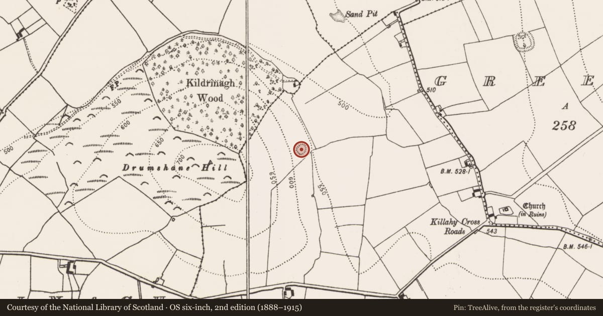 Ordnance Survey six-inch map, 2nd edition (1888–1915) covering the location of Ringfort - rath, Killahy, County Kilkenny, with a pin at the register's coordinates