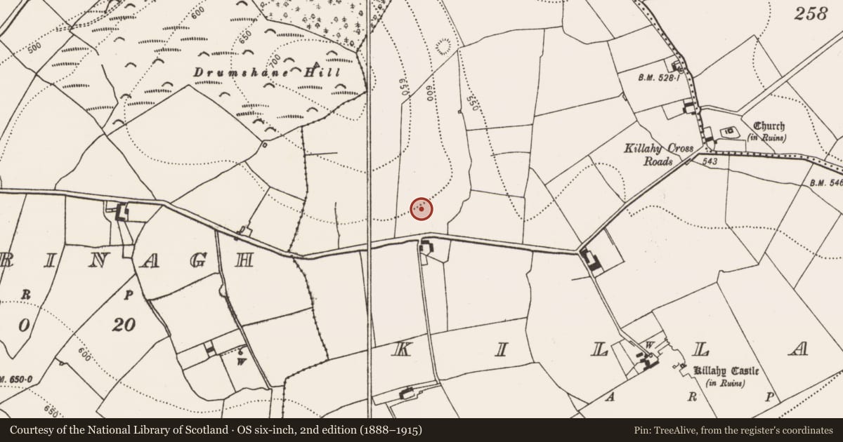 Ordnance Survey six-inch map, 2nd edition (1888–1915) covering the location of Concentric enclosure, Killahy, County Kilkenny, with a pin at the register's coordinates