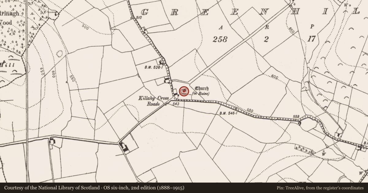Ordnance Survey six-inch map, 2nd edition (1888–1915) covering the location of Church, Greenhill, County Kilkenny, with a pin at the register's coordinates