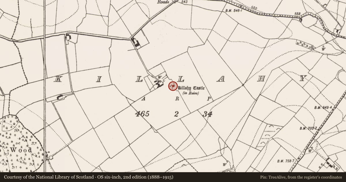 Ordnance Survey six-inch map, 2nd edition (1888–1915) covering the location of Castle - unclassified, Killahy, County Kilkenny, with a pin at the register's coordinates