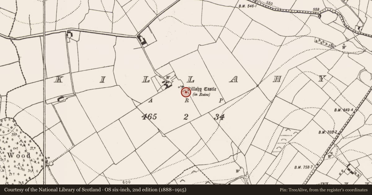 Ordnance Survey six-inch map, 2nd edition (1888–1915) covering the location of Fish-pond, Killahy, County Kilkenny, with a pin at the register's coordinates