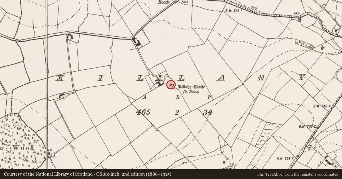Ordnance Survey six-inch map, 2nd edition (1888–1915) covering the location of House - 17th century, Killahy, County Kilkenny, with a pin at the register's coordinates