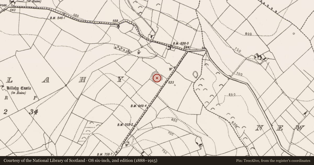 Ordnance Survey six-inch map, 2nd edition (1888–1915) covering the location of Ringfort - rath, Killahy, County Kilkenny, with a pin at the register's coordinates