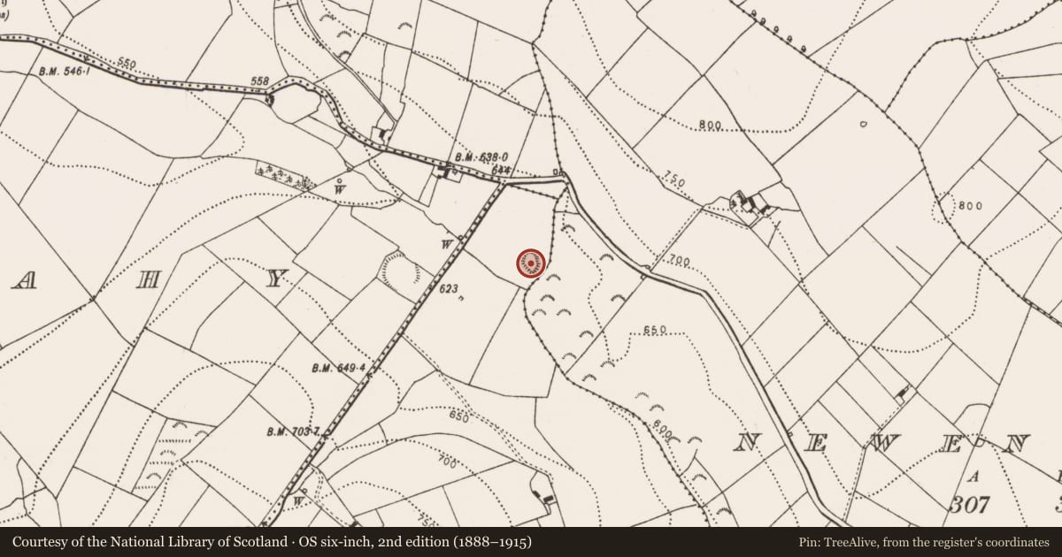 Ordnance Survey six-inch map, 2nd edition (1888–1915) covering the location of Enclosure, Hillend, County Kilkenny, with a pin at the register's coordinates