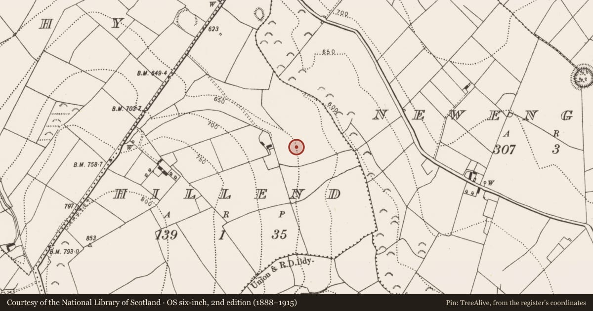 Ordnance Survey six-inch map, 2nd edition (1888–1915) covering the location of Field system, Hillend, County Kilkenny, with a pin at the register's coordinates