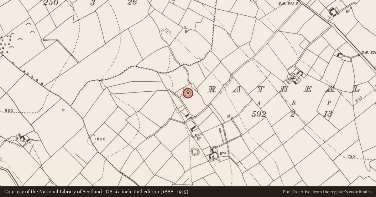Ordnance Survey six-inch map, 2nd edition (1888–1915) covering the location of Ringfort - rath, Rathealy, County Kilkenny, with a pin at the register's coordinates