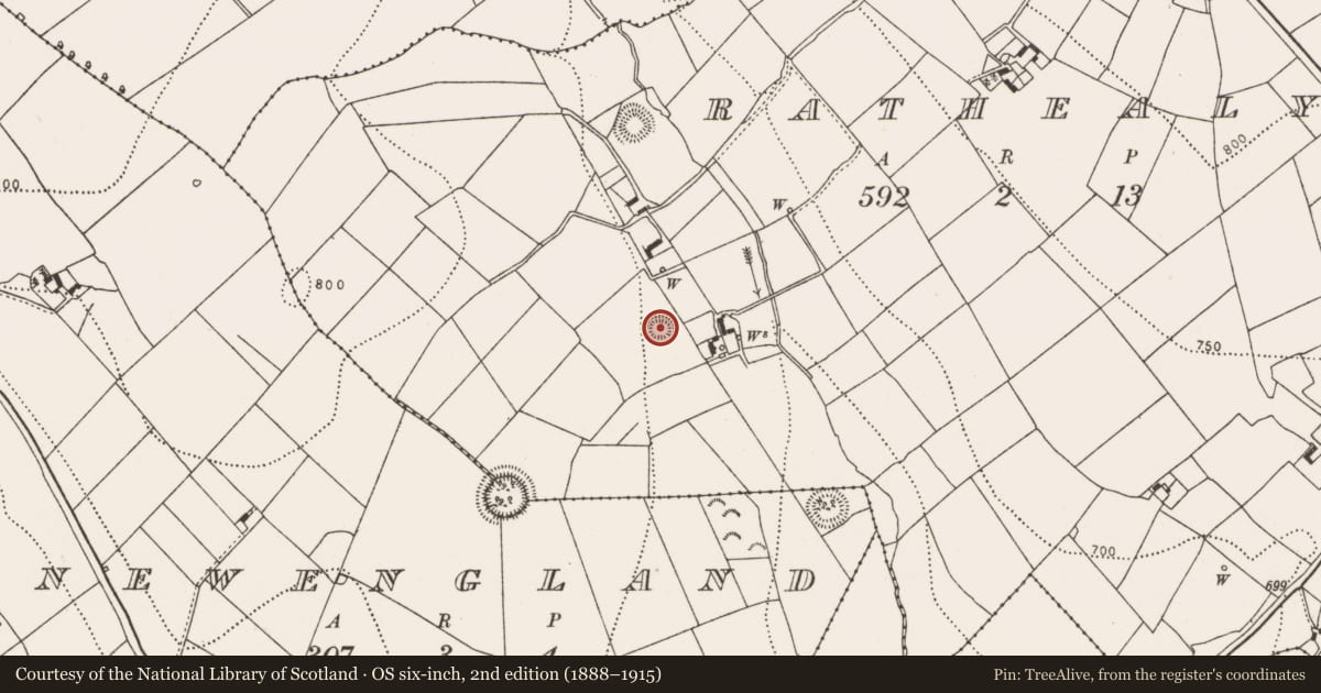 Ordnance Survey six-inch map, 2nd edition (1888–1915) covering the location of Ringfort - rath, Rathealy, County Kilkenny, with a pin at the register's coordinates