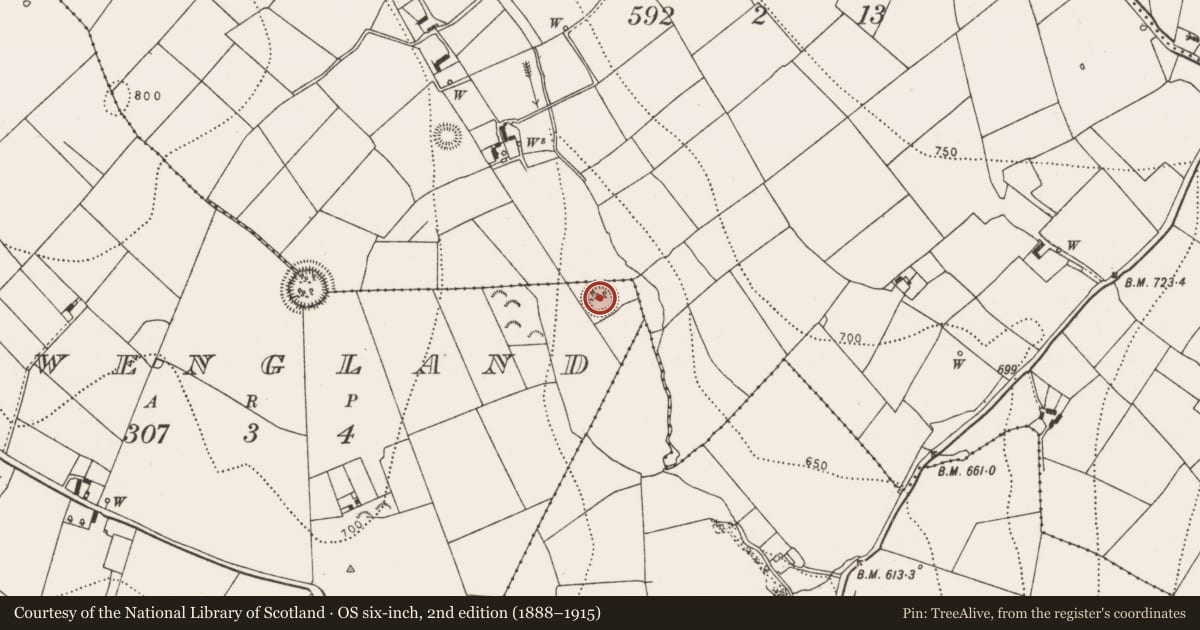 Ordnance Survey six-inch map, 2nd edition (1888–1915) covering the location of Ringfort - rath, Newengland, County Kilkenny, with a pin at the register's coordinates