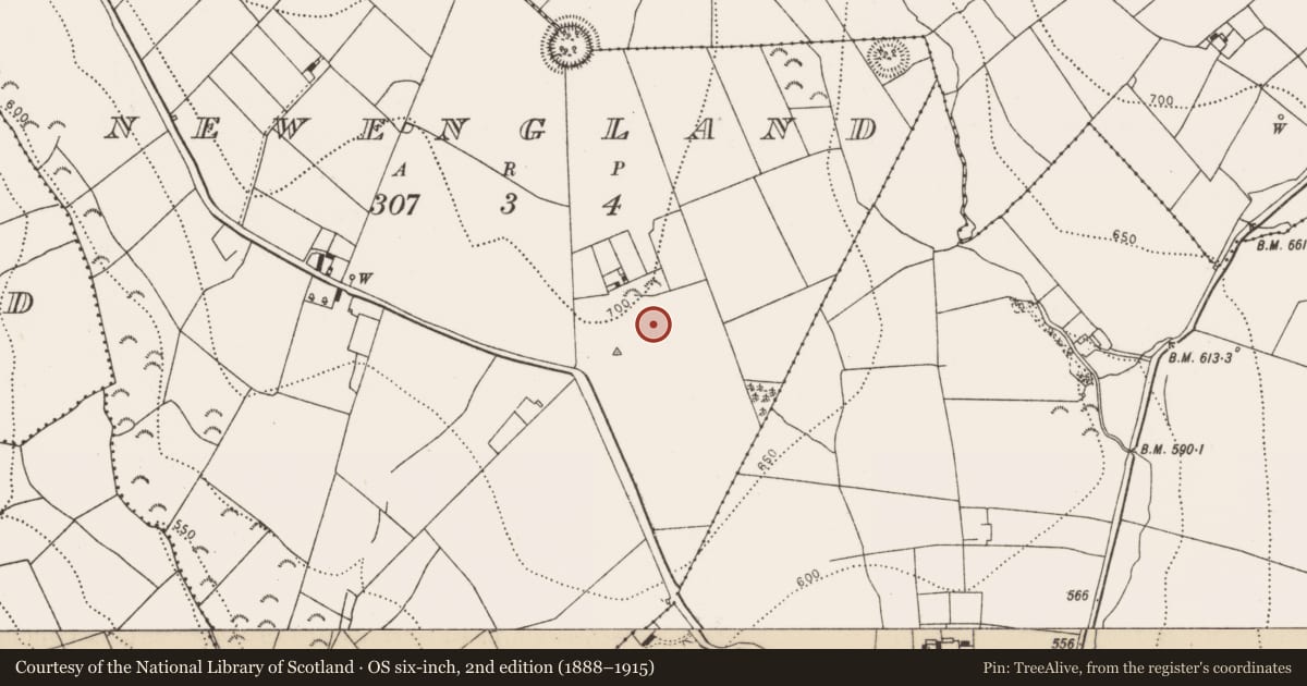 Ordnance Survey six-inch map, 2nd edition (1888–1915) covering the location of Enclosure, Newengland, County Kilkenny, with a pin at the register's coordinates