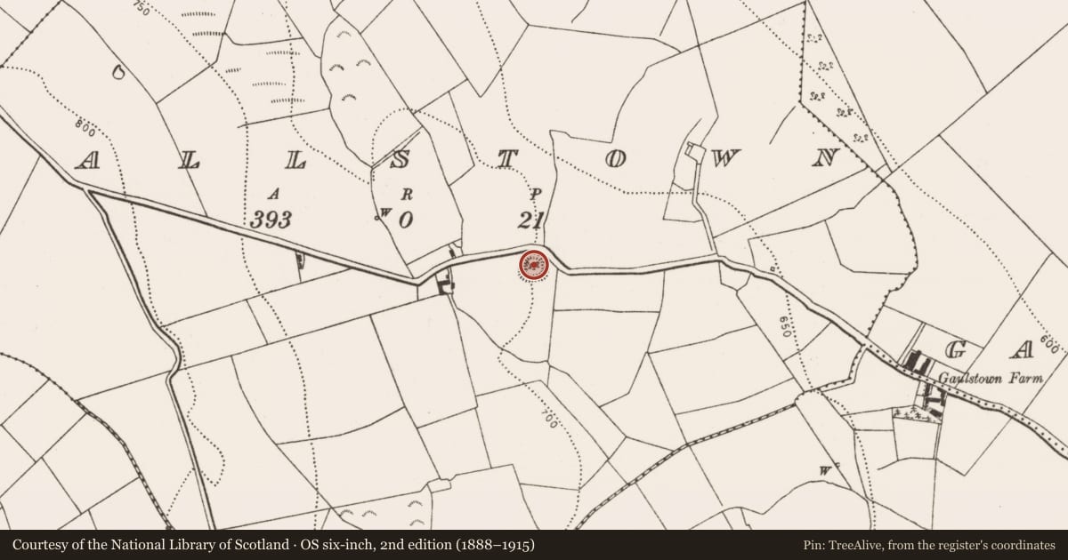Ordnance Survey six-inch map, 2nd edition (1888–1915) covering the location of Enclosure, Wallstown, County Kilkenny, with a pin at the register's coordinates