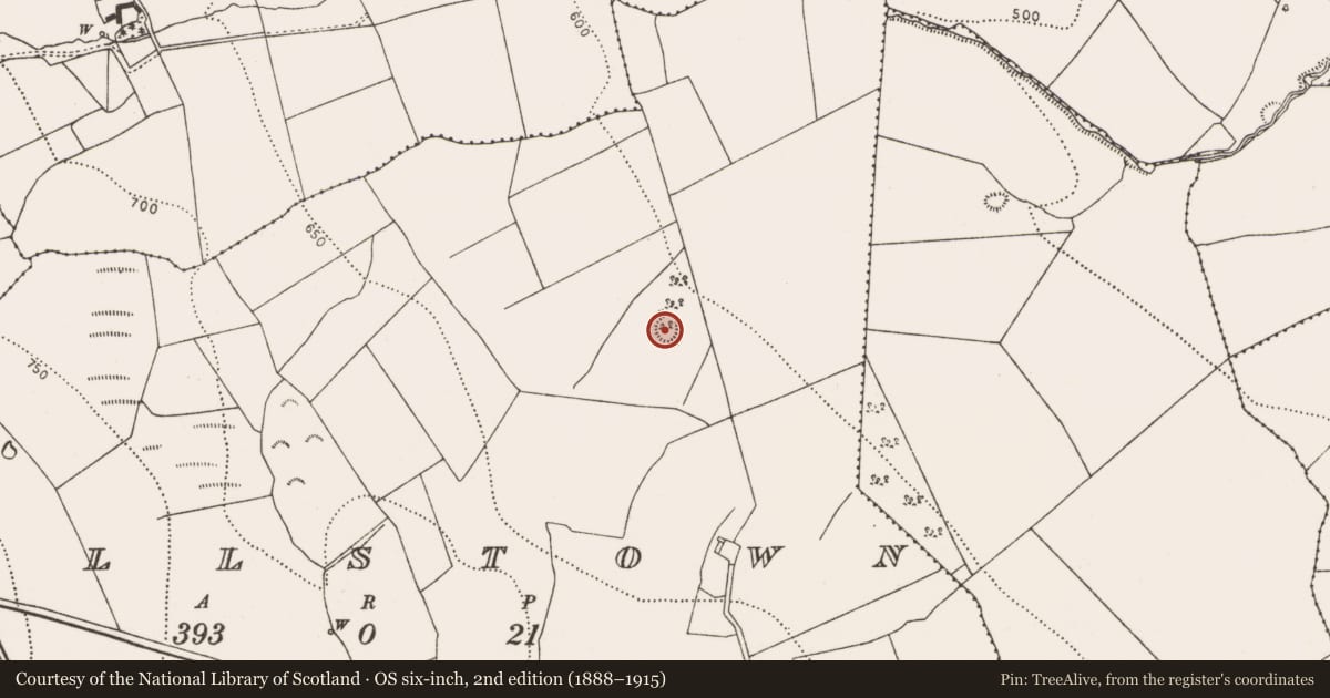 Ordnance Survey six-inch map, 2nd edition (1888–1915) covering the location of Enclosure, Wallstown, County Kilkenny, with a pin at the register's coordinates