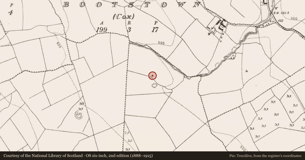 Ordnance Survey six-inch map, 2nd edition (1888–1915) covering the location of Enclosure, Gaulstown Lower, County Kilkenny, with a pin at the register's coordinates