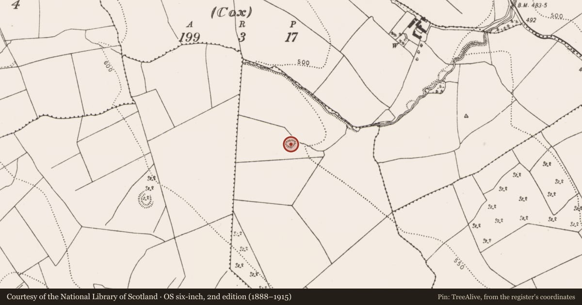 Ordnance Survey six-inch map, 2nd edition (1888–1915) covering the location of Enclosure, Gaulstown Lower, County Kilkenny, with a pin at the register's coordinates