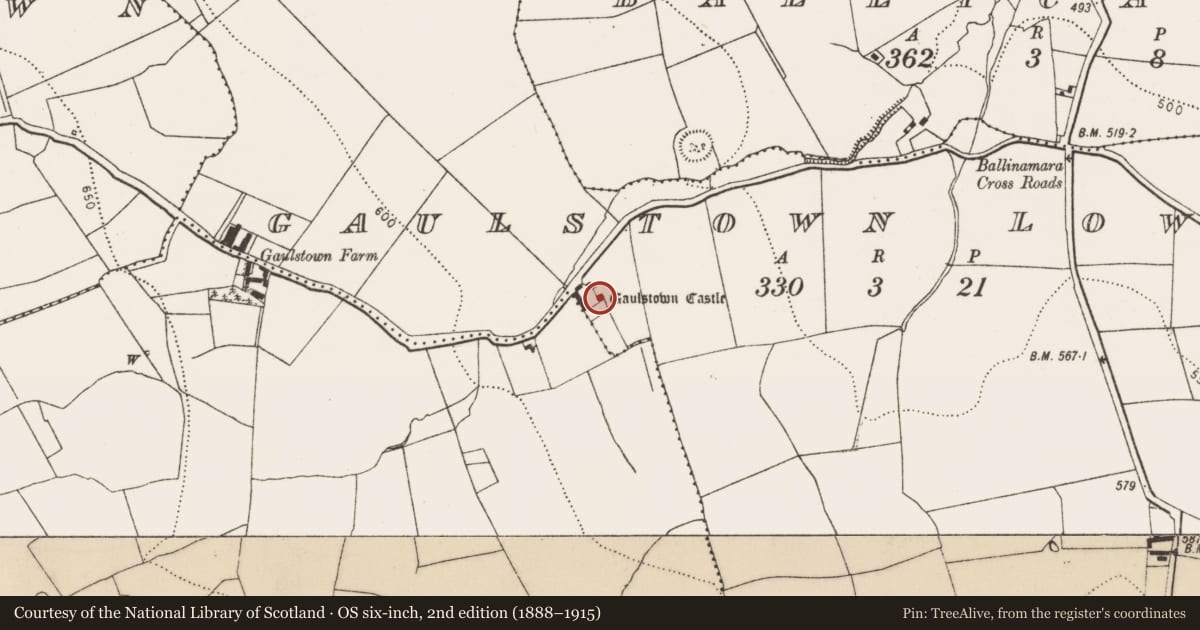 Ordnance Survey six-inch map, 2nd edition (1888–1915) covering the location of Castle - unclassified, Gaulstown Lower, County Kilkenny, with a pin at the register's coordinates