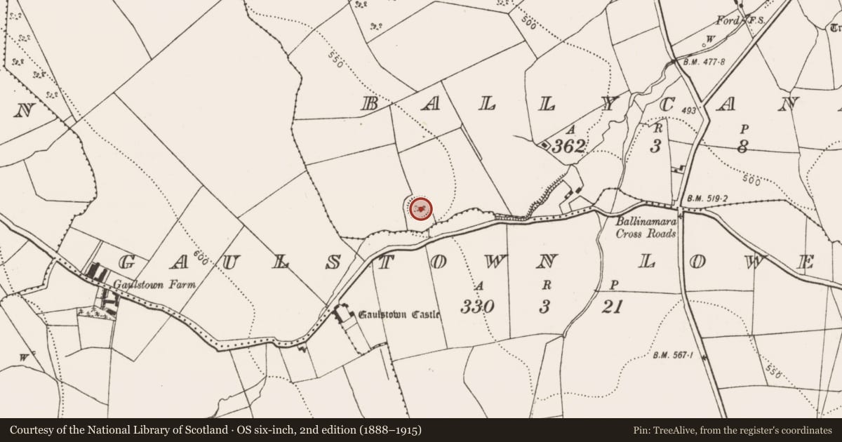 Ordnance Survey six-inch map, 2nd edition (1888–1915) covering the location of Ringfort - rath, Ballycannon, County Kilkenny, with a pin at the register's coordinates