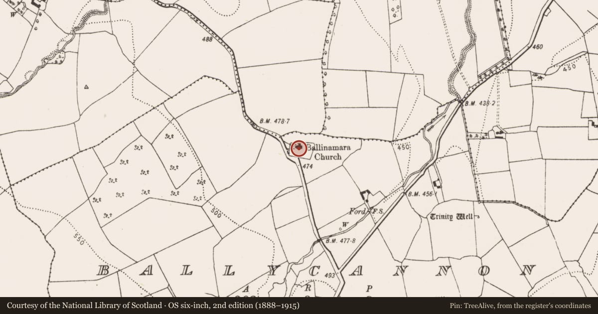 Ordnance Survey six-inch map, 2nd edition (1888–1915) covering the location of Church, Ballycannon, County Kilkenny, with a pin at the register's coordinates