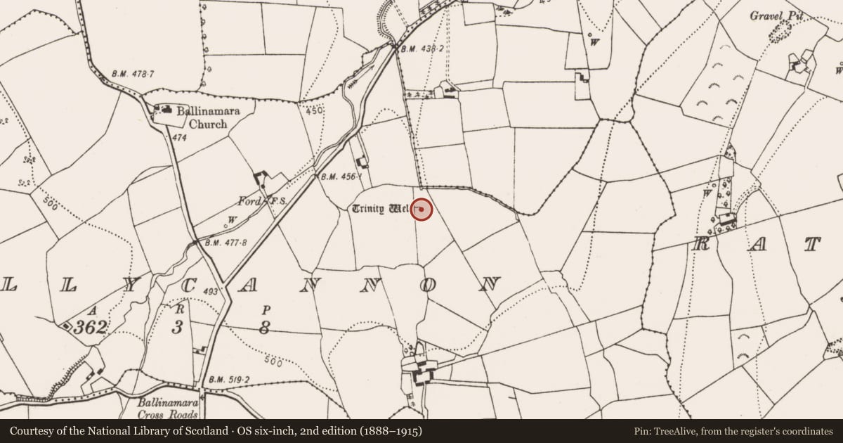 Ordnance Survey six-inch map, 2nd edition (1888–1915) covering the location of Ritual site - holy well, Ballycannon, County Kilkenny, with a pin at the register's coordinates