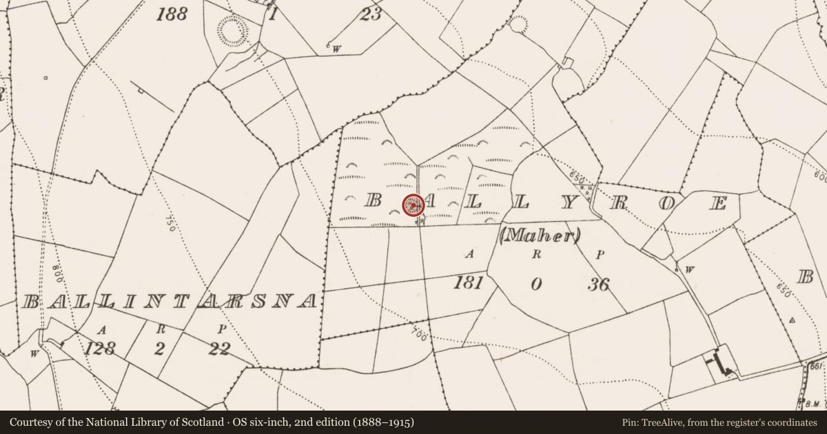 Ordnance Survey six-inch map, 2nd edition (1888–1915) covering the location of Enclosure, Ballyroe (Maher), County Kilkenny, with a pin at the register's coordinates