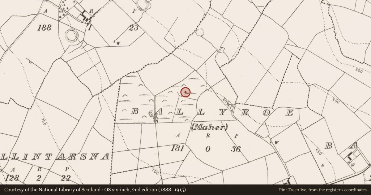 Ordnance Survey six-inch map, 2nd edition (1888–1915) covering the location of Enclosure, Ballyroe (Maher), County Kilkenny, with a pin at the register's coordinates
