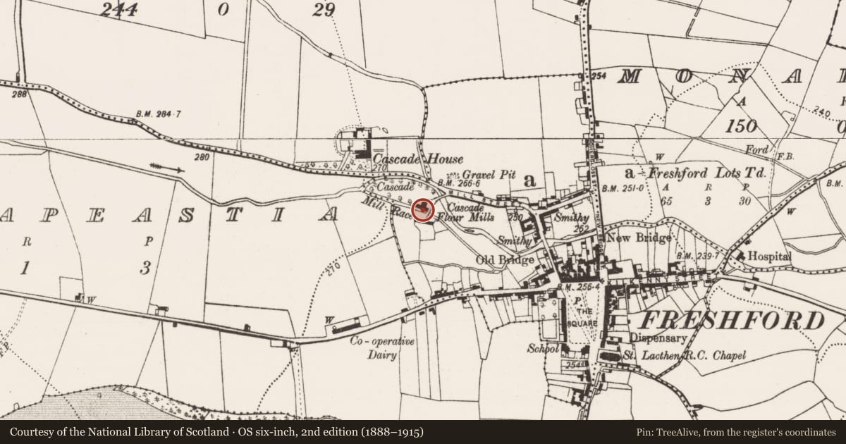 Ordnance Survey six-inch map, 2nd edition (1888–1915) covering the location of Water mill - vertical-wheeled, Freshford Lots, County Kilkenny, with a pin at the register's coordinates