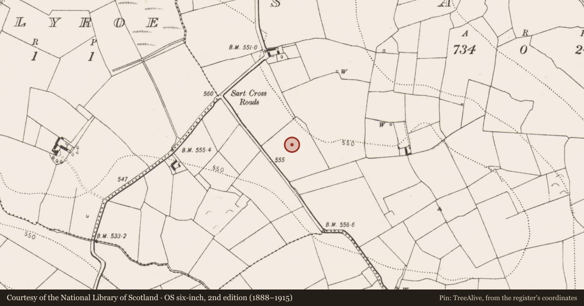Ordnance Survey six-inch map, 2nd edition (1888–1915) covering the location of Castle - unclassified, Sart, County Kilkenny, with a pin at the register's coordinates