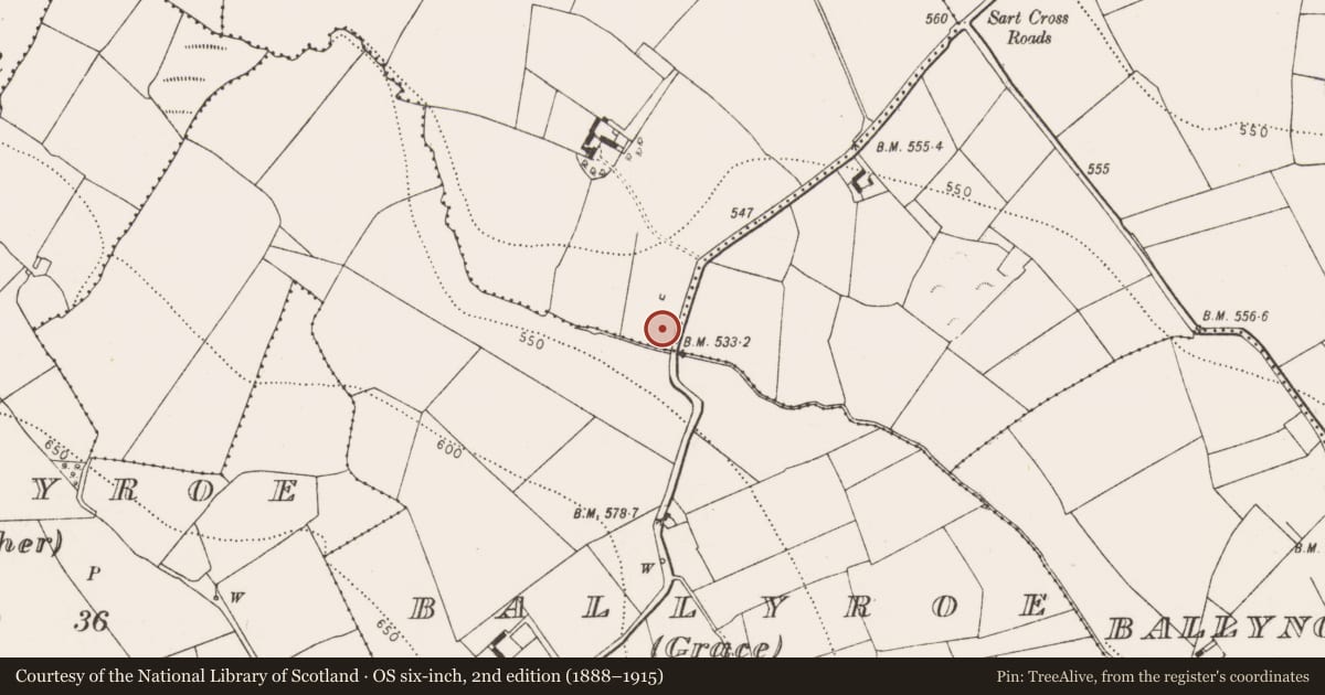 Ordnance Survey six-inch map, 2nd edition (1888–1915) covering the location of Mill - unclassified, Ballyroe, County Kilkenny, with a pin at the register's coordinates