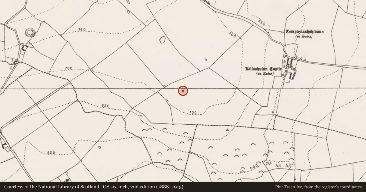 Ordnance Survey six-inch map, 2nd edition (1888–1915) covering the location of Enclosure, Killoshulan, County Kilkenny, with a pin at the register's coordinates