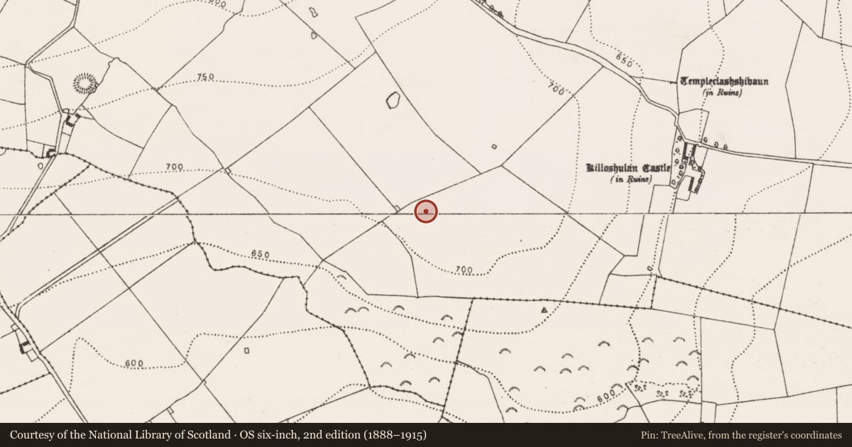 Ordnance Survey six-inch map, 2nd edition (1888–1915) covering the location of Field system, Killoshulan, County Kilkenny, with a pin at the register's coordinates