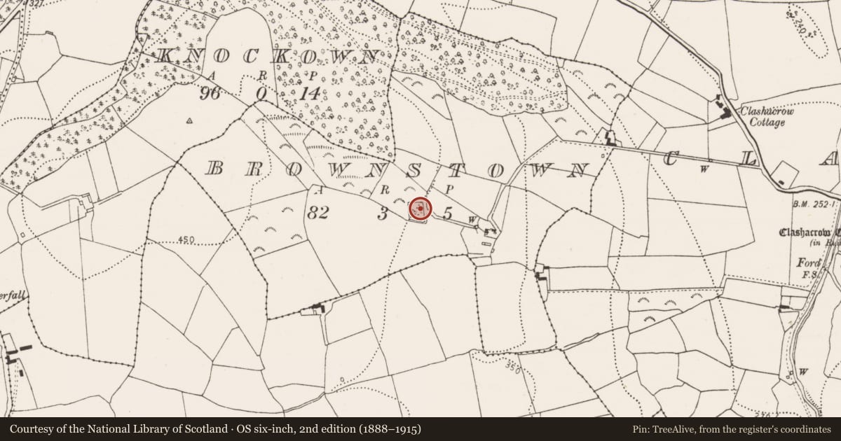 Ordnance Survey six-inch map, 2nd edition (1888–1915) covering the location of Moated site, Brownstown, County Kilkenny, with a pin at the register's coordinates
