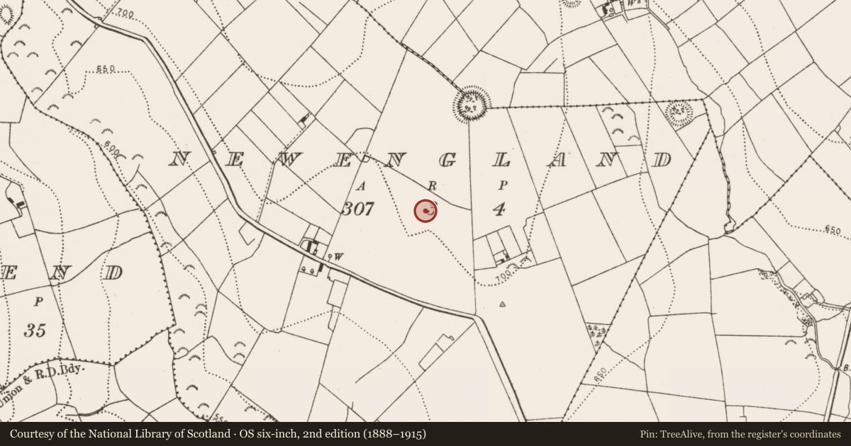 Ordnance Survey six-inch map, 2nd edition (1888–1915) covering the location of Mound, Newengland, County Kilkenny, with a pin at the register's coordinates