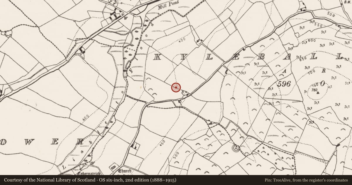 Ordnance Survey six-inch map, 2nd edition (1888–1915) covering the location of Settlement cluster, Kyleballynamoe, County Kilkenny, with a pin at the register's coordinates