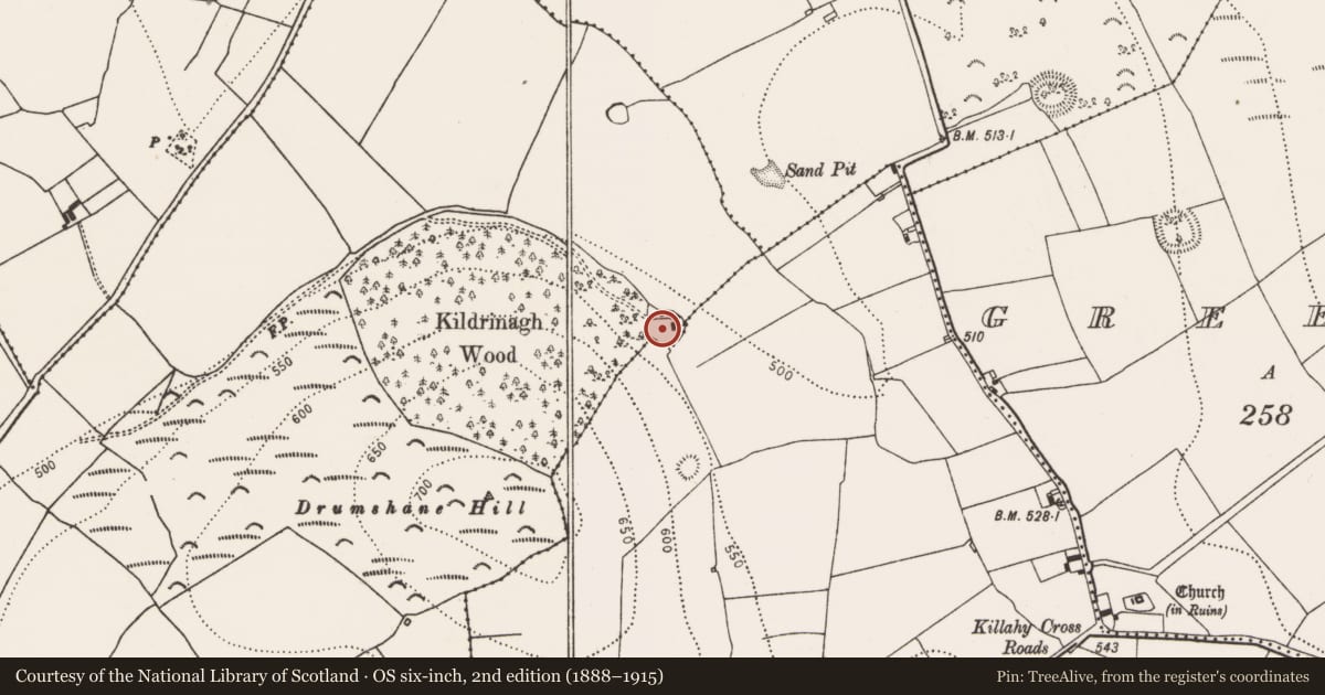 Ordnance Survey six-inch map, 2nd edition (1888–1915) covering the location of Enclosure, Kildrinagh, County Kilkenny, with a pin at the register's coordinates