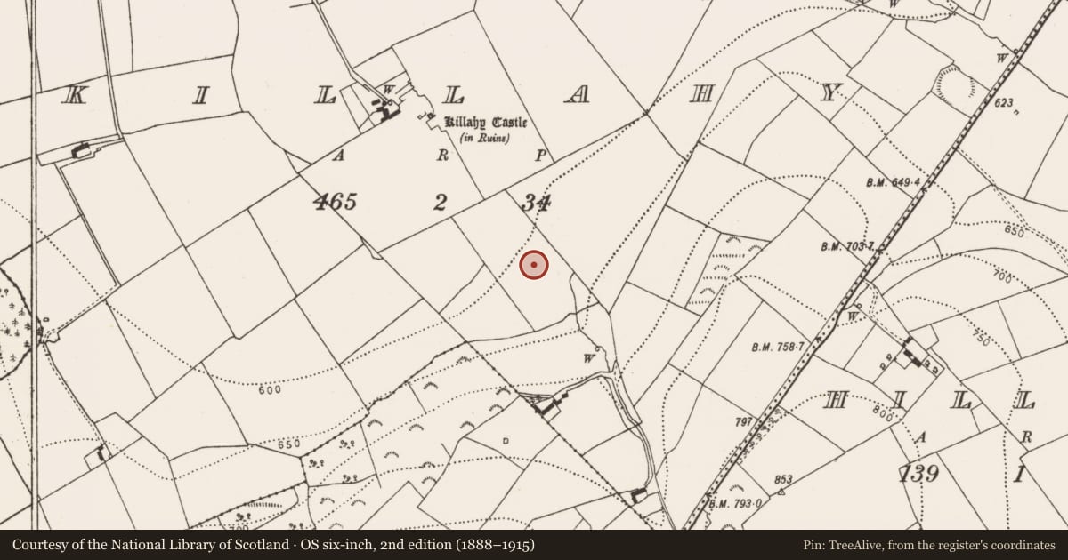 Ordnance Survey six-inch map, 2nd edition (1888–1915) covering the location of Church, Killahy, County Kilkenny, with a pin at the register's coordinates