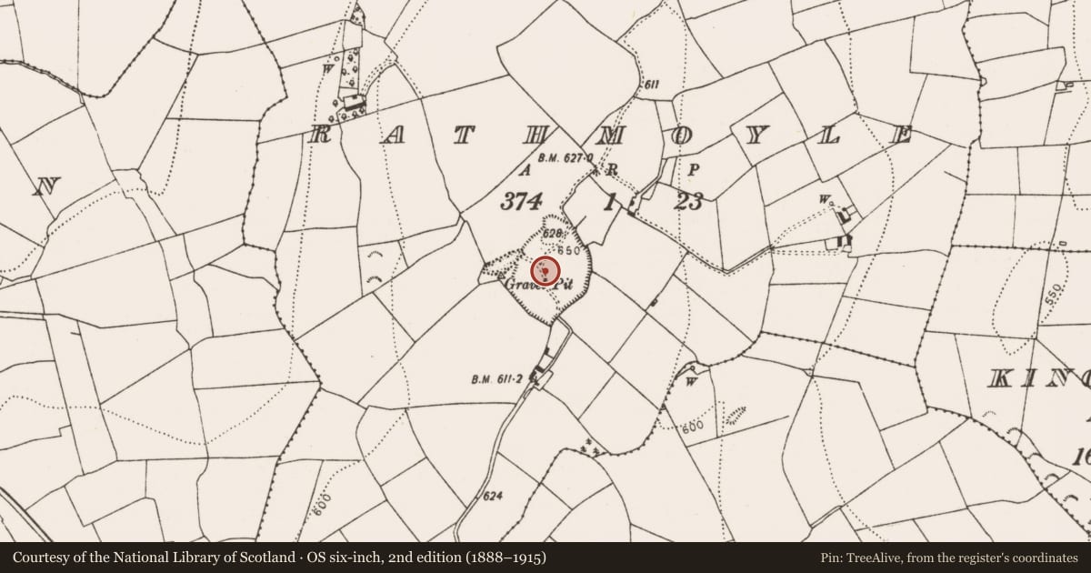Ordnance Survey six-inch map, 2nd edition (1888–1915) covering the location of Barrow - unclassified, Rathmoyle, County Kilkenny, with a pin at the register's coordinates