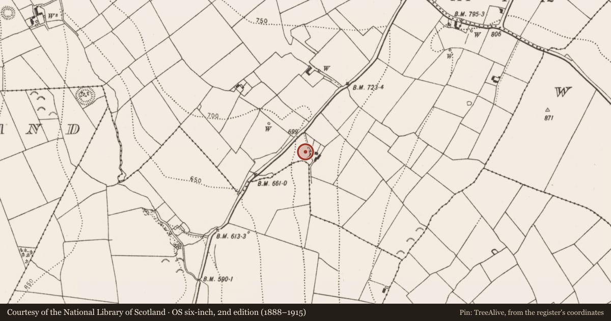 Ordnance Survey six-inch map, 2nd edition (1888–1915) covering the location of Sheela-na-gig (present location), Rathealy, County Kilkenny, with a pin at the register's coordinates