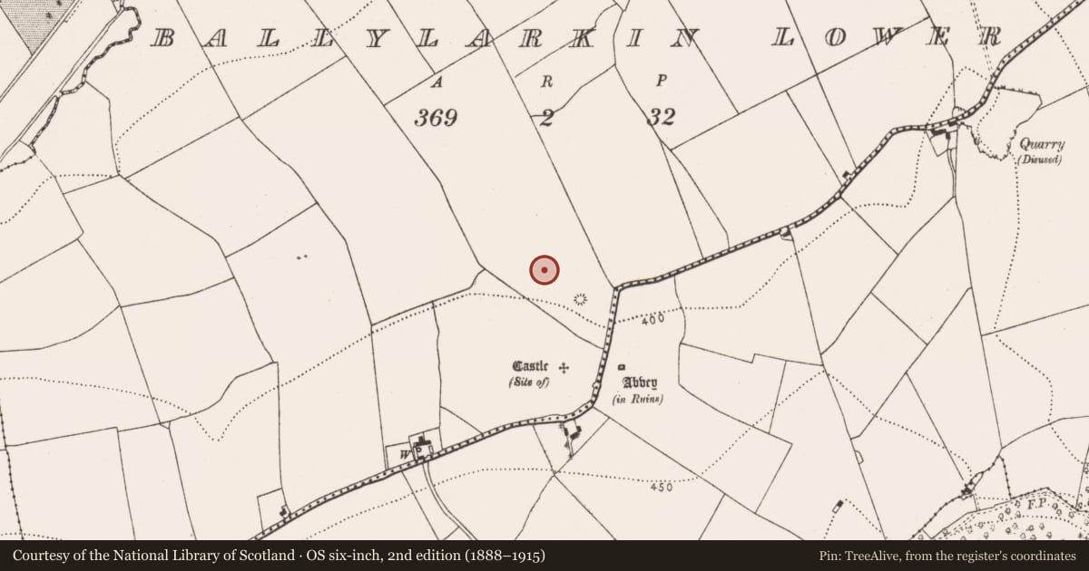 Ordnance Survey six-inch map, 2nd edition (1888–1915) covering the location of Cultivation ridges, Ballylarkin Lower, County Kilkenny, with a pin at the register's coordinates