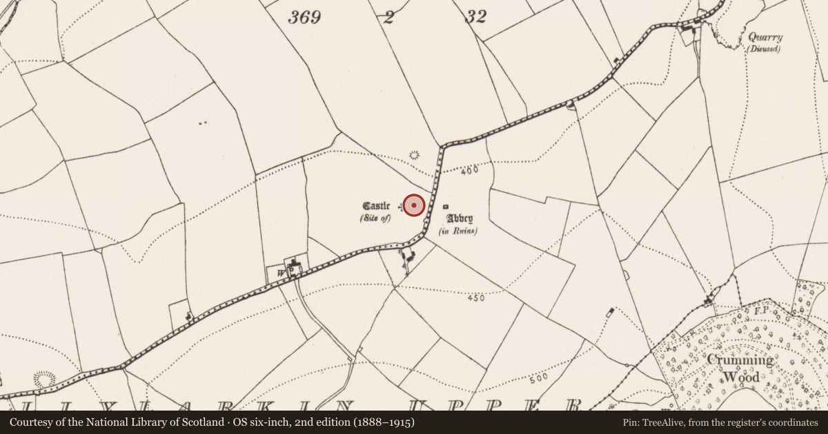 Ordnance Survey six-inch map, 2nd edition (1888–1915) covering the location of Bawn, Ballylarkin Lower, County Kilkenny, with a pin at the register's coordinates
