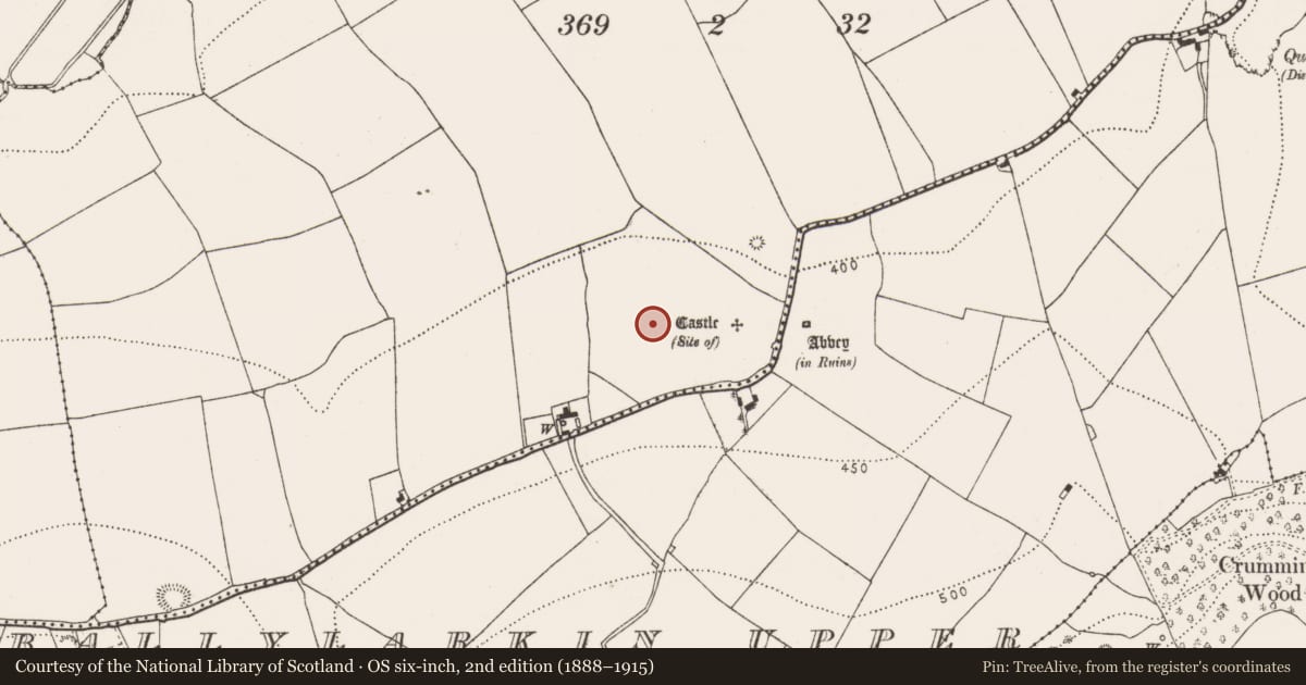 Ordnance Survey six-inch map, 2nd edition (1888–1915) covering the location of Cultivation ridges, Ballylarkin Lower, County Kilkenny, with a pin at the register's coordinates