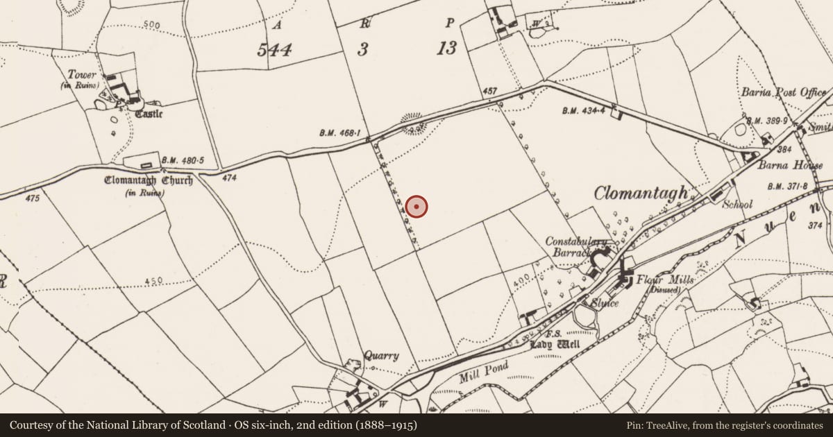 Ordnance Survey six-inch map, 2nd edition (1888–1915) covering the location of Road - road/trackway, Clomantagh Lower, County Kilkenny, with a pin at the register's coordinates