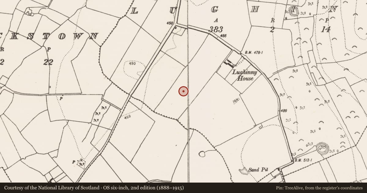 Ordnance Survey six-inch map, 2nd edition (1888–1915) covering the location of Ring-ditch, Lughinny, County Kilkenny, with a pin at the register's coordinates