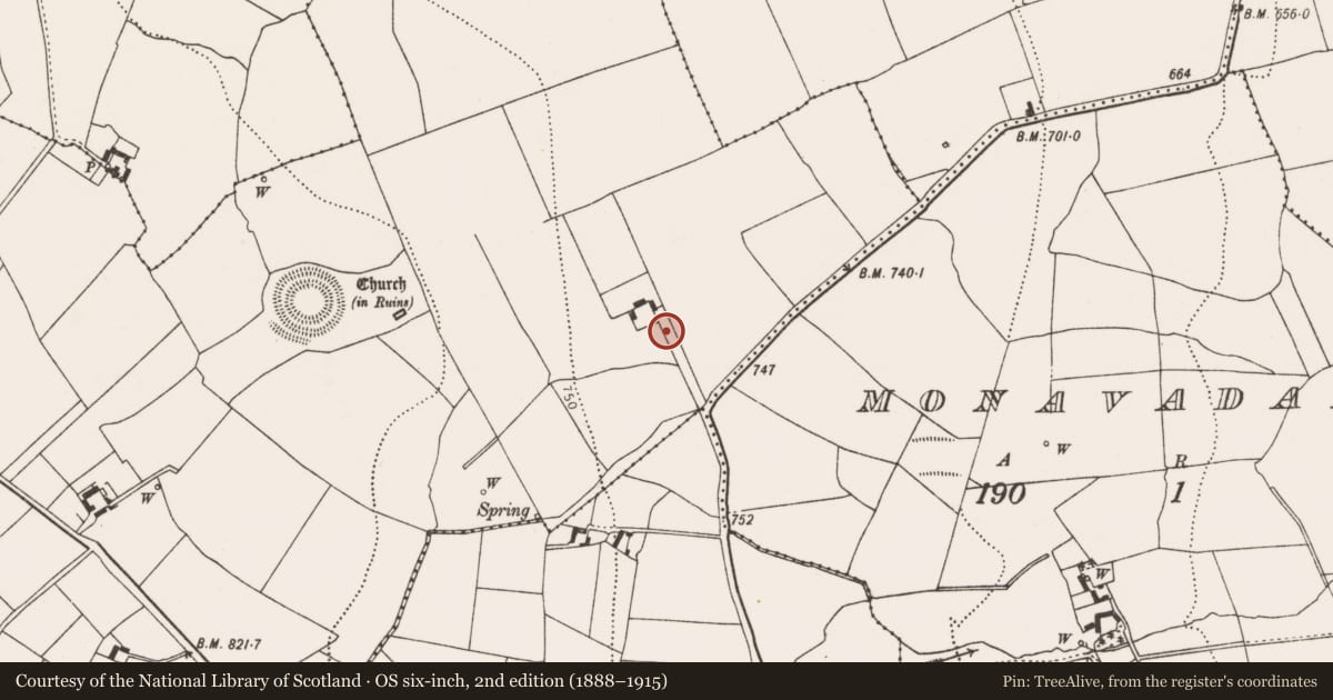 Ordnance Survey six-inch map, 2nd edition (1888–1915) covering the location of Standing stone (present location), Rathealy, County Kilkenny, with a pin at the register's coordinates